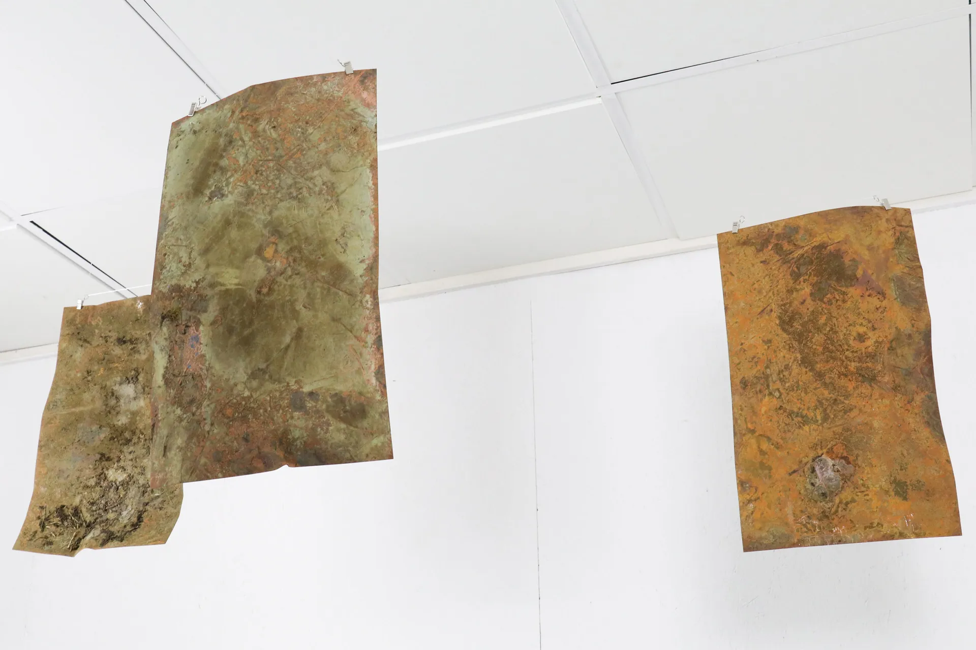 An upward perspective of three patina affected copper plates hanging within a white studio space.
