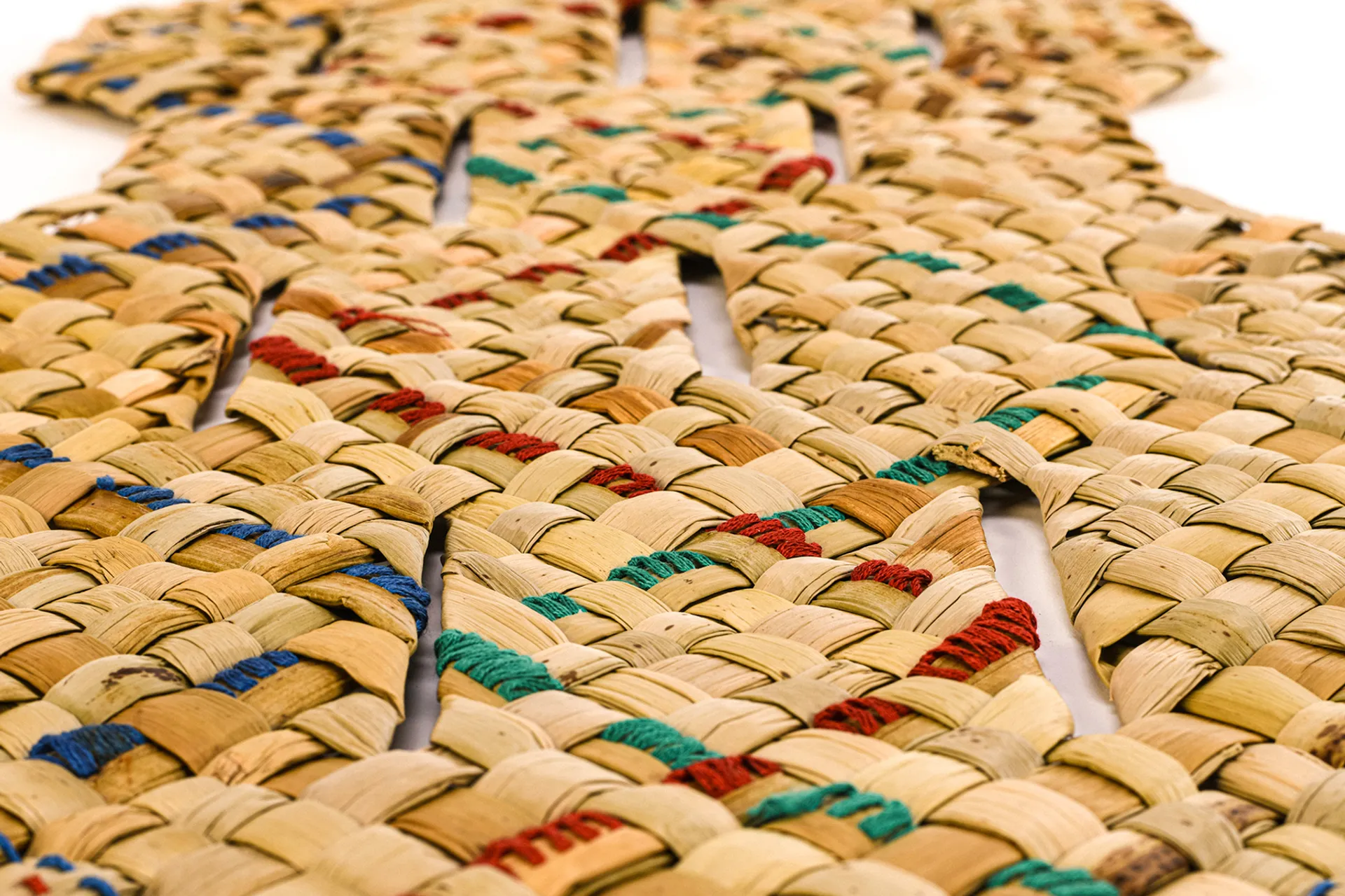 Jayasree Jayakumar 'Frail Collection'